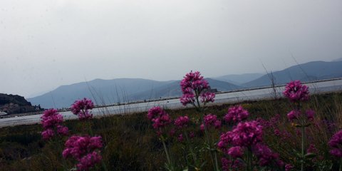 καιρός, αφρικανική σκόνη 