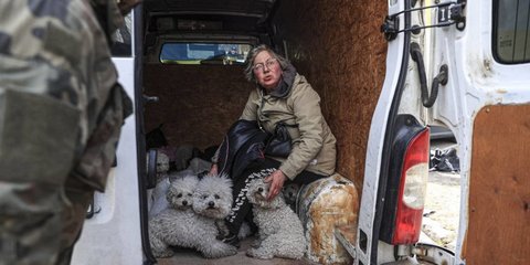 Η Tamara Nazarova κατάφερε να διαφύγει από το Ιρπίν του Κιέβου, μαζί με 24 σκυλιά - τα 12 μόνο είναι δικά της αλλά πήρε και τα υπόλοιπα... 