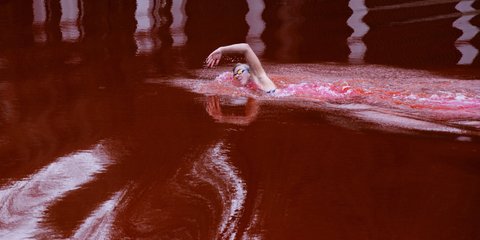 Η παγκόσμια πρωταθλήτρια Ruta Meilutyte κολυμπάει σε μια πισίνα που τα νερά της χρωματίστηκαν κόκκινα, έξω από την ρωσική πρεσβεία, στο Βίλνιους 