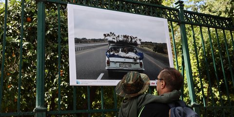 Φωτογραφική έκθεση Athens Photo World 2022 στην περίφραξη του Εθνικού Κήπου στην Αθήνα 