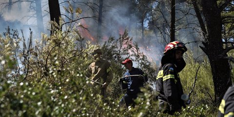 Πυροσβέστες δίνουν μάχη με τις φλόγες