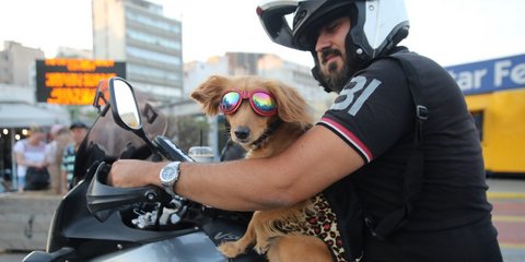 «Καλό Δεκαπενταύγουστο» από τους πιο cool εκδρομείς