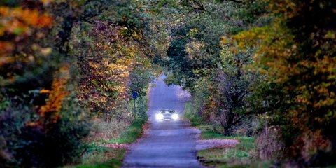 Φθινοπωρινό τοπίο σε έναν επαρχιακό δρόμο, έξω από τη Φρανκφούρτη 