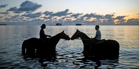 Ξημερώματα, κάπου στην Κολομβία, αναβάτες βάζουν στη θάλασσα τα άλογά τους 