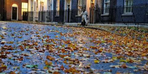 Υπέροχο φθινοπωρινό Λονδίνο: Φύλλα πεσμένα μπροστά από την Ντάουνινγκ Στριτ 