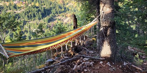 Πρωινή ραστώνη στην Παύλιανη / Φωτογραφία: iefimerida.gr