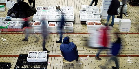 Ένα βράδυ στην ιχθυόσκαλα στο Κερατσίνι