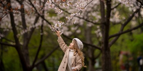 Κορίτσι πιάνει τα ανθισμένα κλαδιά δέντρου σε ιαπωνικό κήπο στο Βουκουρέστι