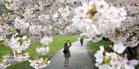 Άνοιξη στη Γερμανία