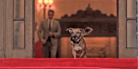 «Καίει» καρδιές ο Πίνατ