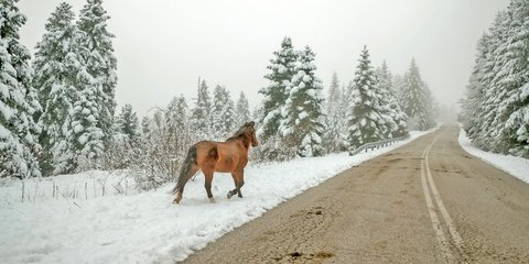 Μαγικές εικόνες απότο χιονισμένο Περτούλι 