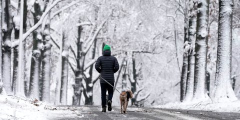 Ένας άνδρας με το σκύλο του απολαμβάνουν τη βόλτα τους στο χιονισμένο τοπίο στο Κάνσας των ΗΠΑ 