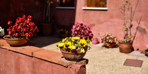 Άνοιξη στην Πλάκα 