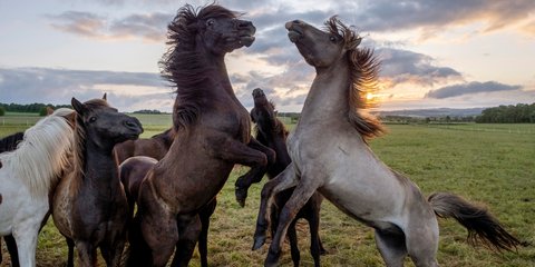 Η ομορφιά σε μια φωτογραφία