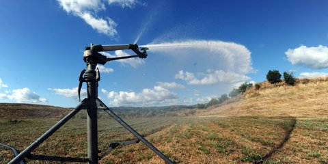 Πότισμα με τεχνητή βροχή σε καλλιέργειες