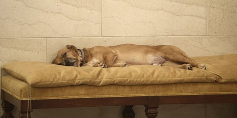 «Βαριέμαι, βαριέμαι, βαριέμαι»: Σιέστα για τον Πίνατ στο μέγαρο Μαξίμου