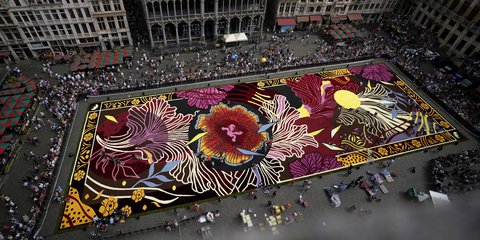 Γιγαντιαίο χαλί από λουλούδια στην Γκραν Πλας των Βρυξελλών