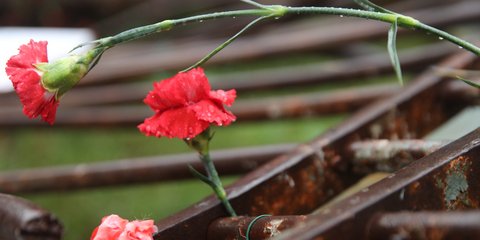 Πολυτεχνείο, 51 χρόνια μετά 