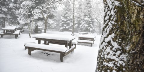 Λευκό τοπίο