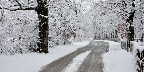 Στην Αρναία Χαλκιδικής, όλα είναι... χιόνι