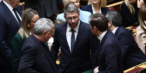 Ο Νίκος Ανδρουλάκης στην Ολομέλεια της Βουλής