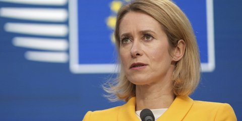 Κάγια Κάλας με κιτρινα