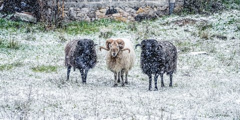 Χιόνια στη Λέσβο