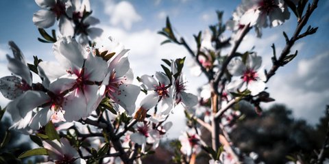 Ανοιξιάτικος ο καιρός σήμερα 
