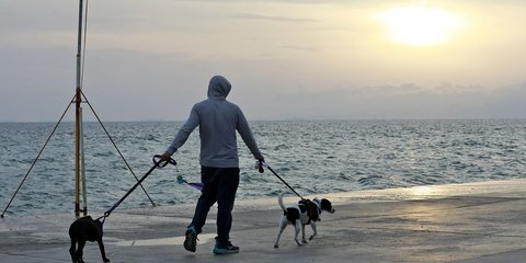 Γλυκό, ανοιξιάτικο αττικό απόγευμα πλάι στη θάλασσα