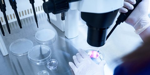 δότες σπέρματος