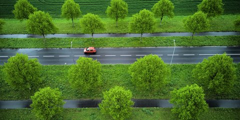 Ανοιξιάτικη φύση έξω από τη Φρανκφούρτη