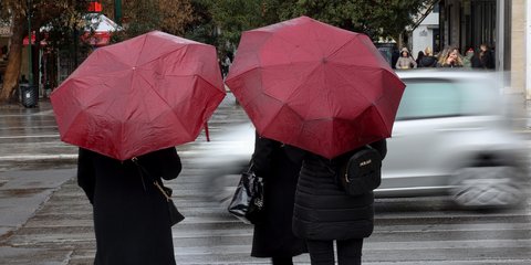 Ομπρέλες στη βροχή 