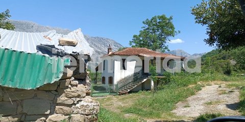 Αγρια δολοφονία στην Αμφιλοχία