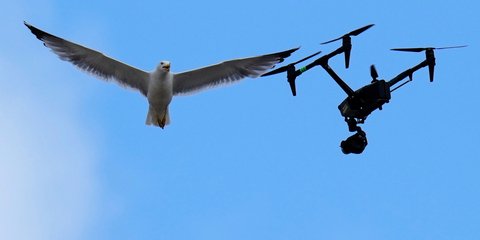 Στους αιθέρες του Βατικανού, για την εκλογή του νέου Πάπα -Ο συμβολισμός της σημειολογίας