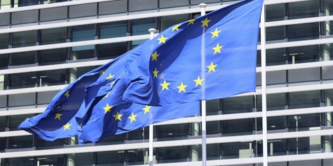 Ευρωπαϊκή Ένωση, απάτη μαμούθ με smartphones