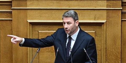 Ο Νίκος Ανδρουλάκης στη Βουλή 