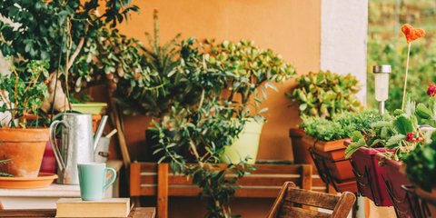 Μικρό μπαλκόνι με φυτά/ Φωτογραφία: Shutterstock