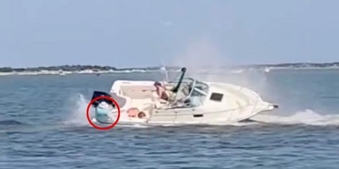 H στιγμή που η επιβάτιδα πέφτει στη θάλασσα από το σκάφος που ανέτρεψε η φάλαινα ανοικτά του Νιου Τζέρσεϊ 