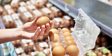 αυγοθηκη χερι 