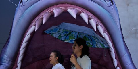 Στα σαγόνια ενός ψεύτικου καρχαρία