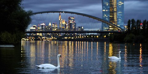 Το ποτάμι των κύκνων