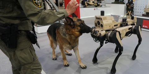 Ένας σκύλος της σερβικής αστυνομίας μυρίζει έναν... ανταγωνιστή ρομπότ