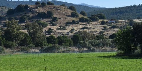 Παραχώρηση δημοτικής έκτασης για να ανασκαφεί και αναδειχθεί η αρχαία Αρίσβη