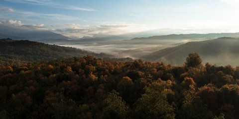 Πρωινό τοπίο στην ομίχλη