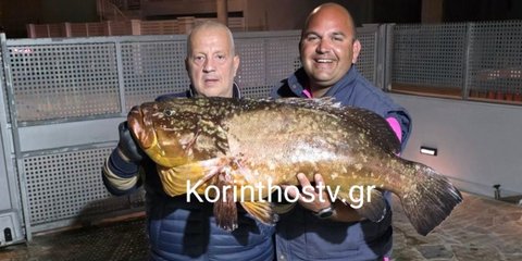 Ροφός Κορινθιακός