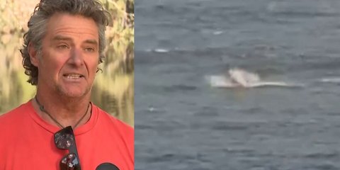 O 61χρονος Άντι ΜακΝτόναλντ ήρθε πρόσωπο με πρόσωπο με έναν λευκό καρχαρία