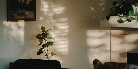 Φωτογραφία Unsplash