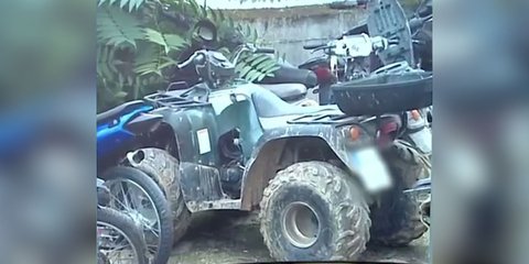 Αυτή είναι η γουρούνα που έπεσε και σκοτώθηκε ο 4χρονος Ανδρέας