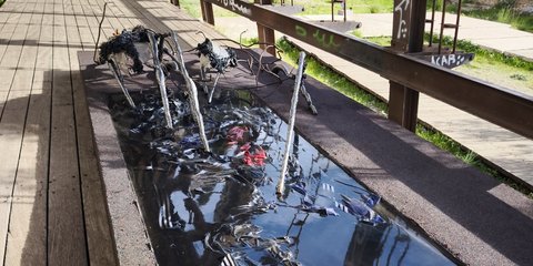 Αλέξανδρος Τζάννης