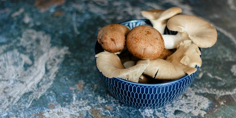 Ποικιλία μανιταριών / Φωτογραφία: Unsplash